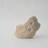 JIRO NAKAYAMA|candle #66