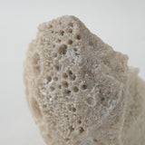 JIRO NAKAYAMA|candle #66