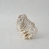 JIRO NAKAYAMA|candle #66