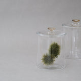奥泰我|pot