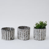 栁川晶子|植木鉢 koeda