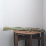 【受注商品】榊麻美植物研究所|草飾り 結(12月末までにお届け)