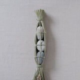 榊麻美植物研究所|石つと