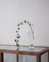 奥泰我｜meiping