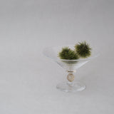 奥泰我｜goblet sui