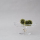 奥泰我｜compote bowl  S