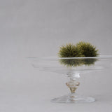 奥泰我｜compote bowl  S