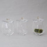 奥泰我｜pot