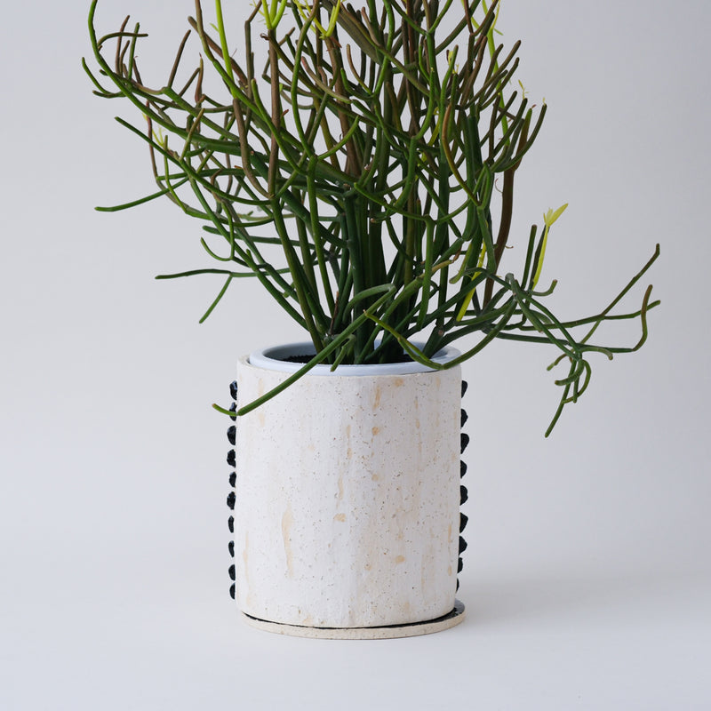SŌK 鈴木絵里加｜植木鉢　L