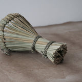【受注商品】榊麻美植物研究所｜おやす（12月中旬頃お届け）
