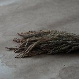 【受注商品】榊麻美植物研究所｜草飾り 鶴（12月中旬頃お届け）