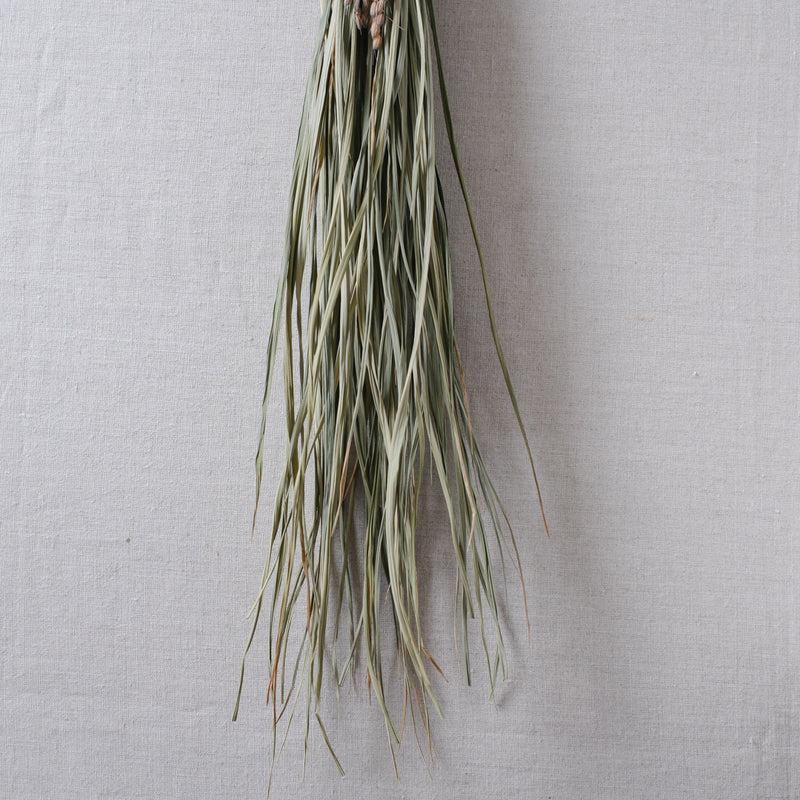 榊麻美植物研究所｜石つと