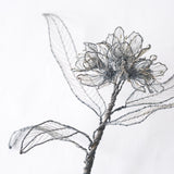 courircourir 横山真実｜シャクナゲ