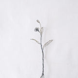 courircourir 横山真実｜ユウゲショウ