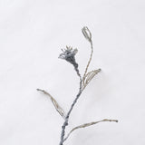 courircourir 横山真実｜ユウゲショウ