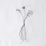 courircourir 横山真実｜アオイスミレ