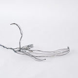 courircourir 横山真実｜ジュズダマ